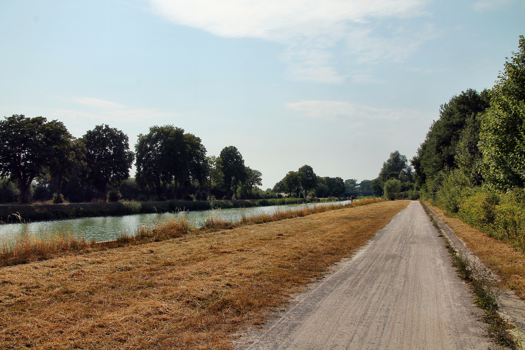 Altes Hafengelände am Datteln-Hamm-Kanal (Hamm) / 20.07.2022