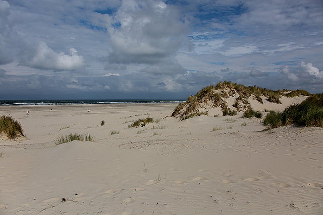 20140914 5275VRAw [NL] Terschelling