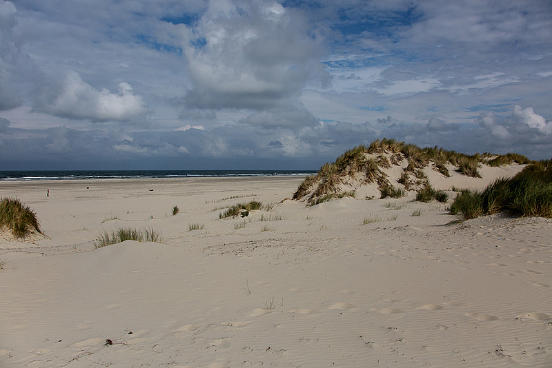 20140914 5275VRAw [NL] Strand, Terschelling