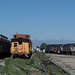 Alamosa SLRG Rio Grande Rwy, CO (# 0077)