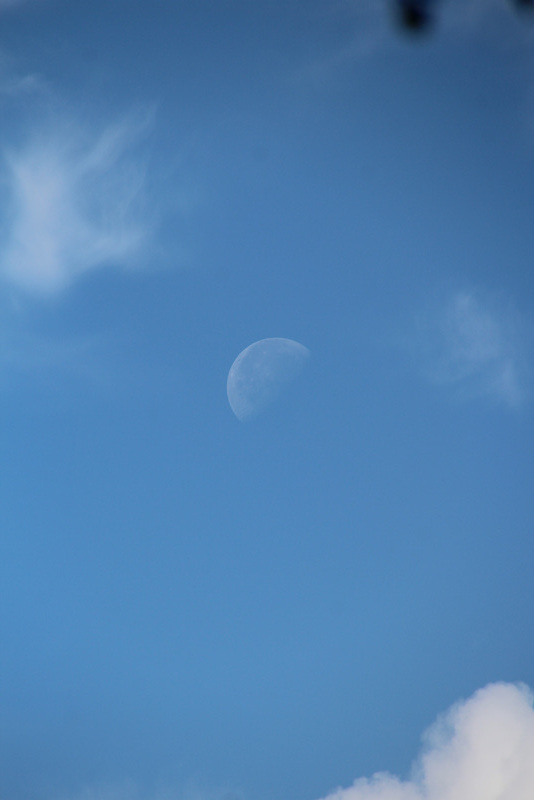 Blue moon