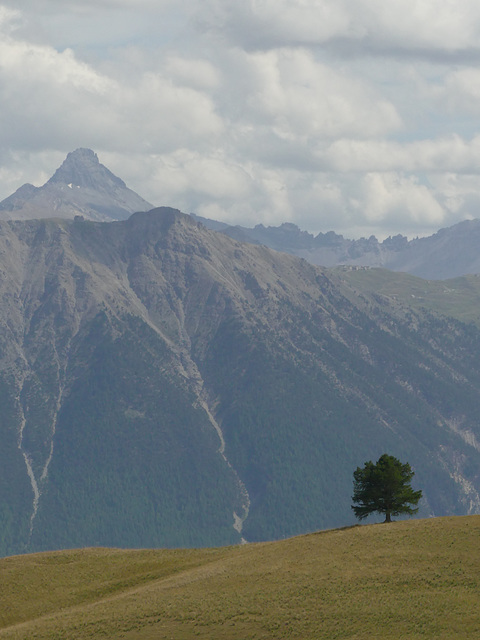 20180827 -0901 Randos Névache (Vallée de la Clarée 05) (249) al