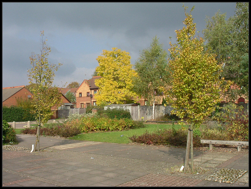 autumn at Nye Bevan Close