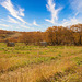 bales in the Valley