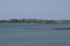 View From Churchill Island