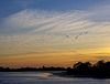 Sunset with Geese