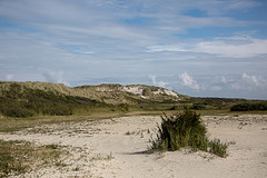 20140914 5274VRAw [NL] Terschelling