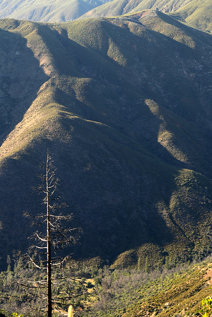 Near Yosemite-park (Enlarge!)