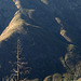 Near Yosemite-park (Enlarge!)