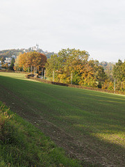 Autumn Walk