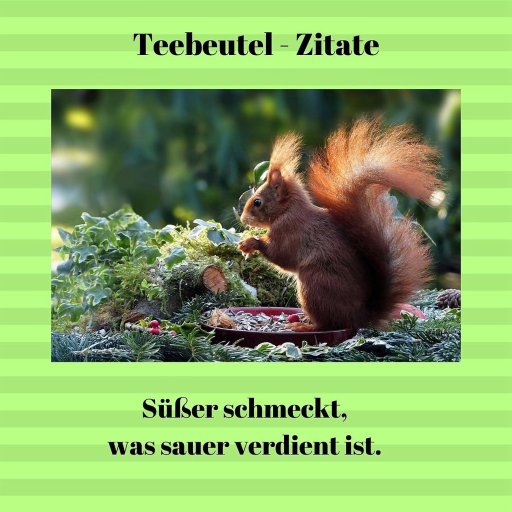 Teebeutel - Zitate - (16).