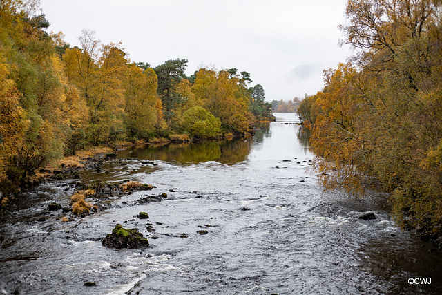 Autumn in Glen Affric