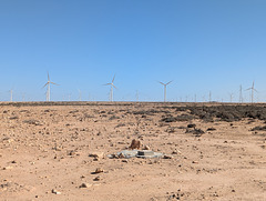 Le vent souffle et les éoliennes poussent