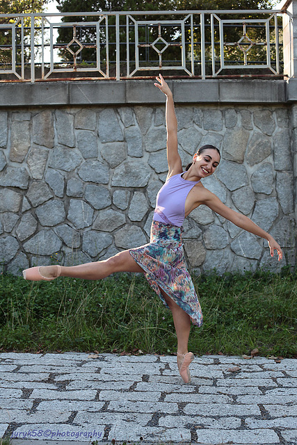 Viola (10)