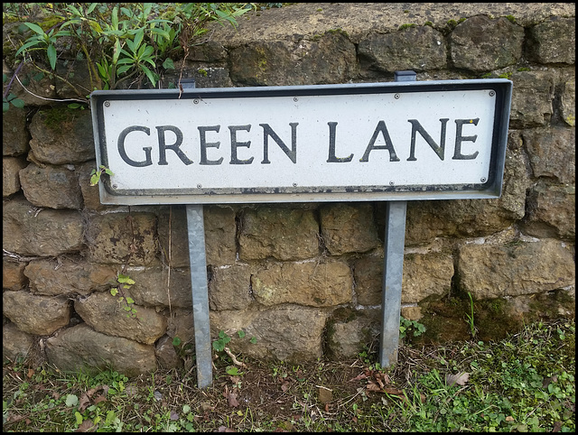 Green Lane sign