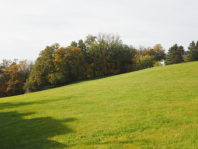 Autumn Walk