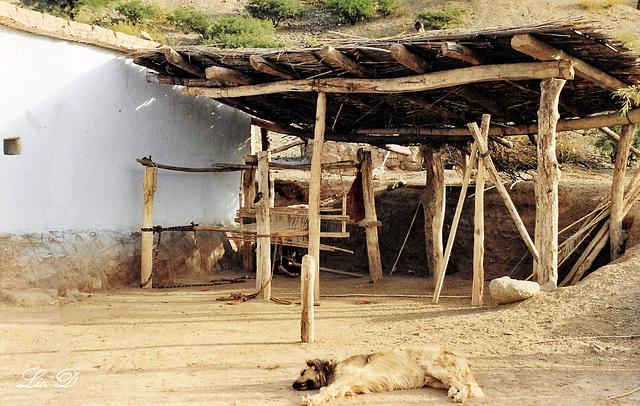 l'atelier