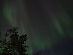 Noorderlicht - Aurora
