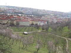 Prague, panorama 11.