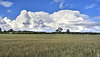 Big clouds in a big Yorkshire sky