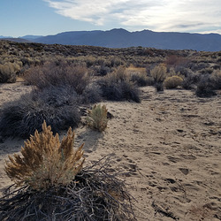 20191105 143207 001 20191105 143207 001