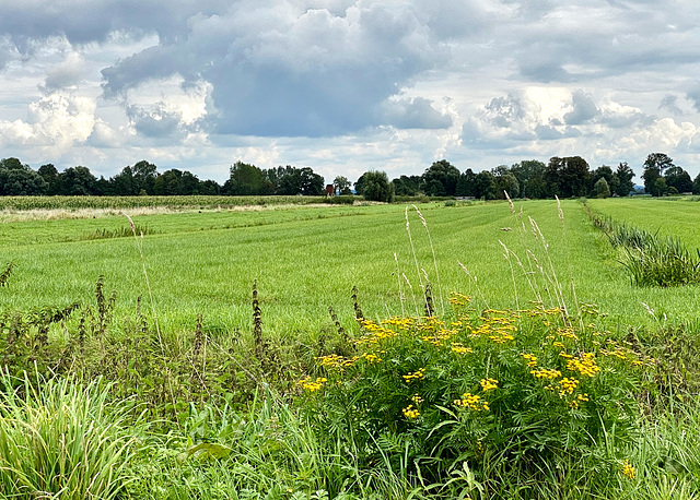 Norddeutsche Landschaft