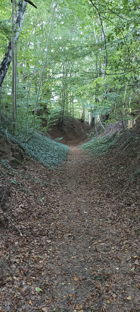 Fränkischer Jakobsweg: Helmbrechts - Marktschorgast
