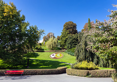 HBM: A Bench in Nyon, Switzerland