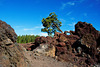 an der TF-38 - im Nationalpark El Teide (© Buelipix)