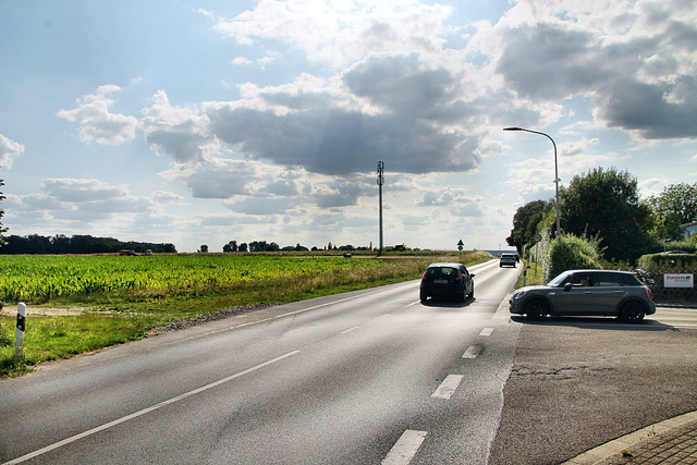 Velauer Straße (Mülheim-Heimaterde) / 6.07.2023