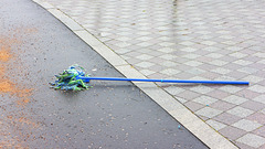 Discarded Mop