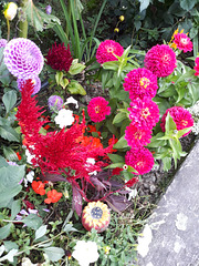 Garden 0f  Colour.