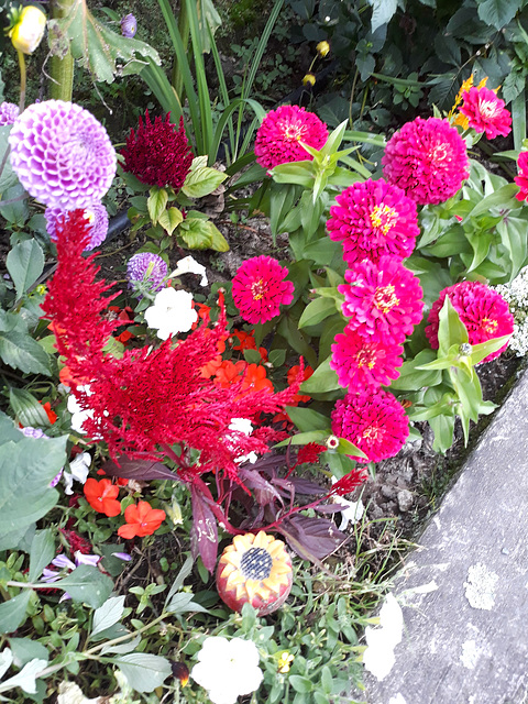Garden 0f  Colour.
