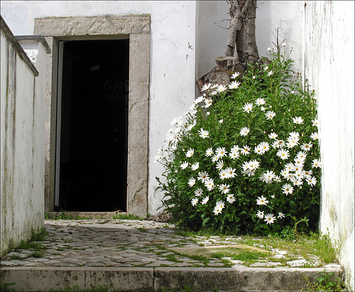 Óbidos