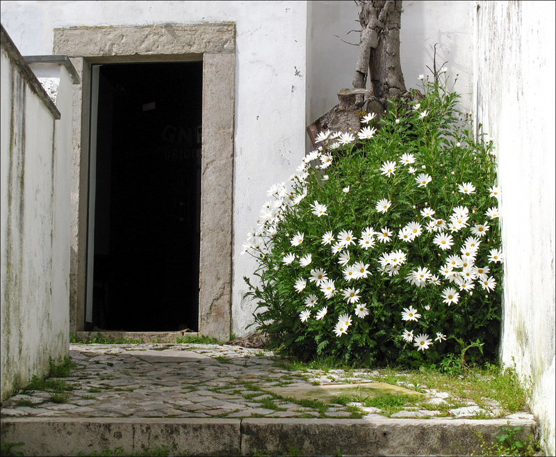 Óbidos