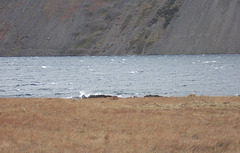 gbw - Wast Water waves