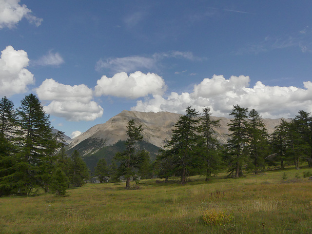 20180827 -0901 Randos Névache (Vallée de la Clarée 05) (260) al