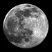 EOS 90D Peter Harriman 18 00 55 58299 fullMoon dpp