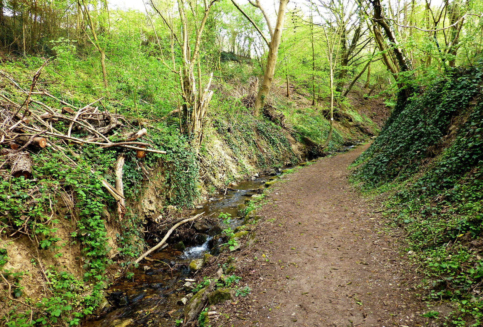 In der Maibachklamm