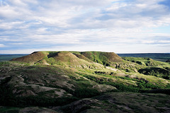 early light at Grasslands NP