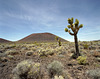 Mojave Cinder Cone