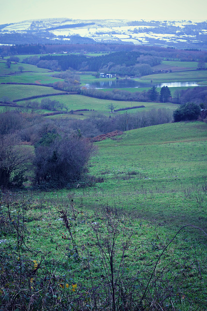 View to the First Snow