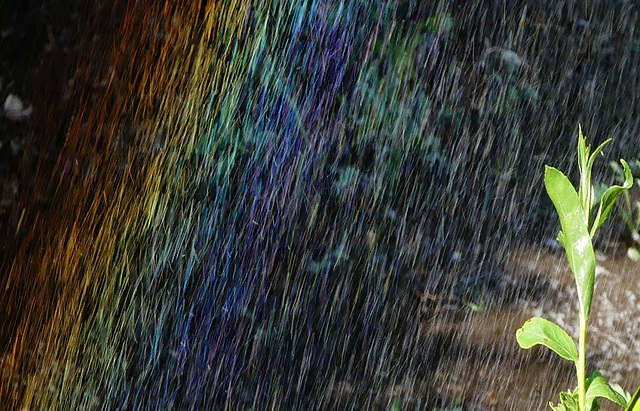 Regenbogen im Garten