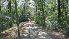 Steinrückenweg