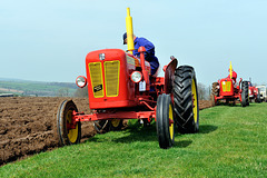 David Brown Tractors Ploughing ~ Cornwall