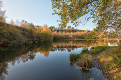 Brushes Clough Reservoir in Autumn