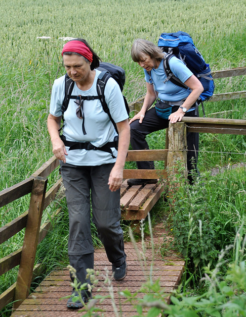 Scotland St. Cuthbert's Way