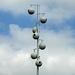 Day 6, Purple Martin nest 'gourds'