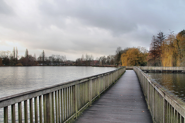 Auf dem Steg im Nordpark-See (Gladbeck) / 24.12.2022