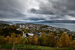 Narvik